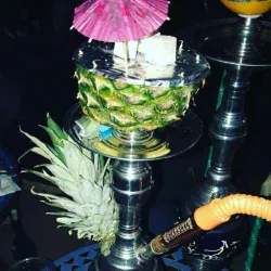Fresh sheesha Big