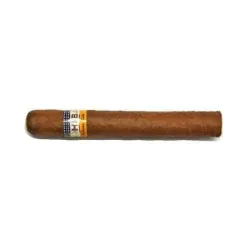 Cohiba Siglo 2